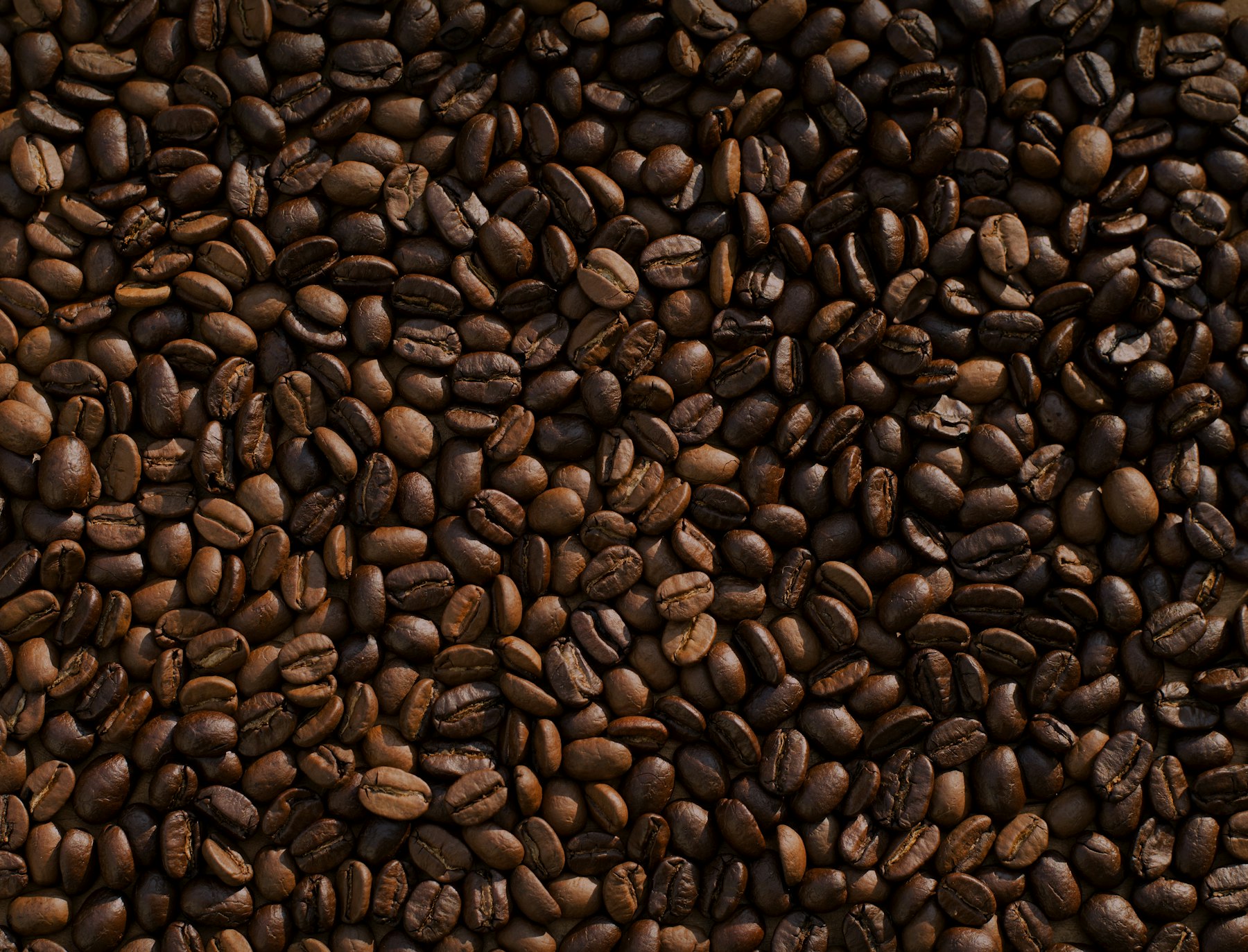 Coffee & Cocoa
